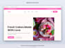 complete making of website