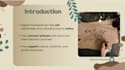 create a professional slideshow presentation