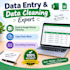 do expert data entry ms excel and bookkeeping