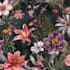 illustrate best botanical illustration