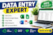 provides data entry services