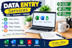 do data entry and copy paste tasks