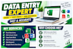 do data entry, excel data cleaning and web research