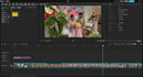 professional wedding video editing