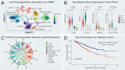 perform single cell rna seq analysis, seurat pipeline, scrna plots