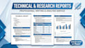 write professional technical reports and documents