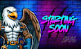 design animated twitch stream overlay, kick logo, panels, alerts emotes banner