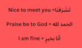 teach you spoken arabic through interactive conversation