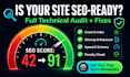 do a complete technical SEO audit with an action plan