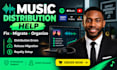 develop your artist identity and music career strategy