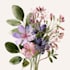 illustrate best botanical illustration