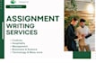 do professional assignment  writing,typing, and document formatting