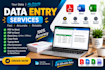 do fast and accurate data entry, PDF to word and excel work