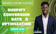 do shopify speed optimization and increase shopify store speed