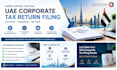 handle uae vat cit registrationderegistration