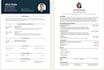 design a professional ats friendly resume CV