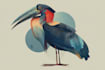 draw cute animal illustrations