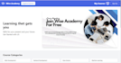 build a professional modern website