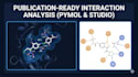do molecular docking, gnina, autodock vina, and pymol interaction analysis