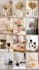 pinterest managerpins designamazon affiliate