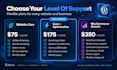 provide monthly wordpress website maintenance and support