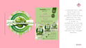 create professional canva graphic designs