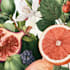 unique a botanical illustration