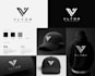 create a professional visual brand identity