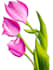 make sceneries with vibrant colours