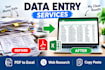 convert data, typing, and data entry services for business