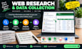do accurate data entry copy paste web research and excelwork
