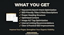 do a professional SEO audit