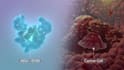 3d moa animation pharmaceutical biotech medical explainer video