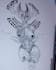 draw it if you can imagine it