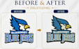 do embroidery digitizing in dst, pes in 1 hour