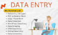do data entry, copy paste, data scraping, email leads, pdf to excel data