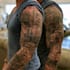 make a traditional japanese irezumi tattoo