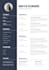 write a professional ats friendly resume
