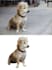 edit your photo fast and professional