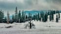 do professional photo editing in lightroom in affordable price