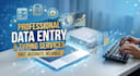do professional data entry and office work