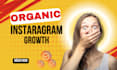 instagram organic promotion and targeted audience growth