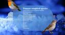 design educational and infographic projects