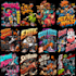do cartoon custom design for brand or merchandise or poster