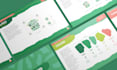 create a professional brand identity and visual direction