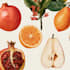 illustrate best botanical illustration