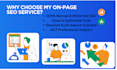 do professional on page seo