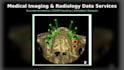 do radiology image and medical imaging  annotation