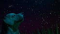 create custom 3d looping environment or scene in blender
