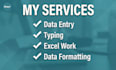 do accurate data entry and excel data formatting